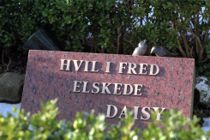 Kæledyrs-død kan være sundt for børn