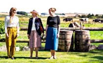 Faldt ikke i dronningens smag