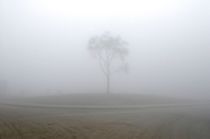 DMI advarer: Risiko for tæt tåge