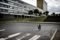 16-årig fængslet: Jog kniv i brystet på mand