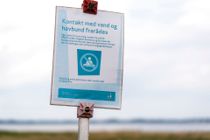 Efter giftfund: Nu skal 145 steder i Danmark undersøges