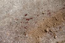 Havde millioner i bærepose