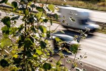 Dømt for motorvejs-kast