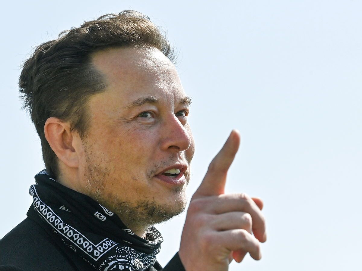 Tesla-direktør Elon Musk er blevet single