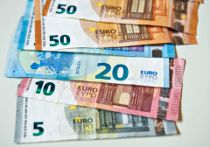 Kvinde fældet med falske penge