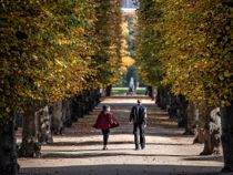 DMI: Vejret slår helt om