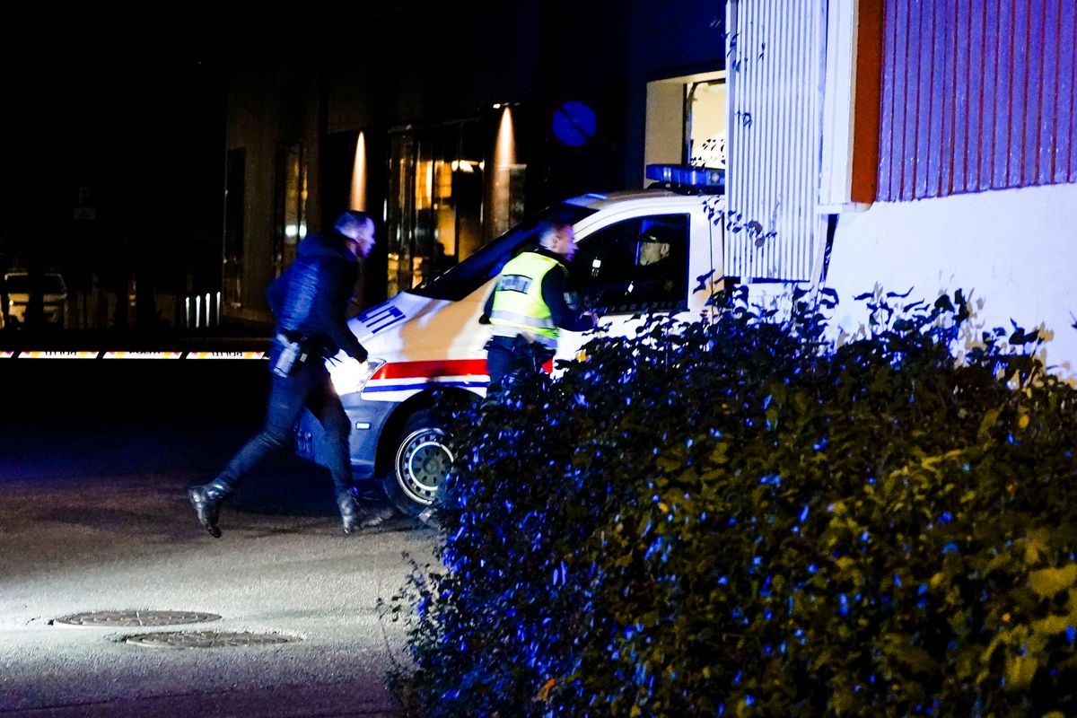 Politiet undersøger en række gerningssteder.