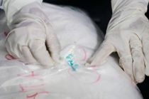 Narkofabrik opdaget ved lille by