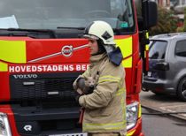 Kat reddet ud af brændende bygning