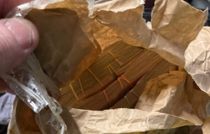 Dansk hund gør vildt fund