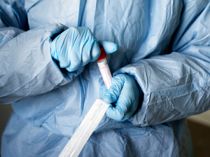 Her går smitten amok i Danmark