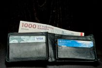 Regeringen vil indføre økonomisk kontrol