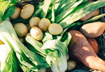 Det' politiet: Du skal brænde 2.200 kilo grønt