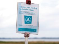 Advarer: 25 danske områder kan være forgiftet
