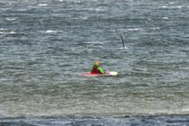 Livsfarlig: Ligger stille i dansk hav