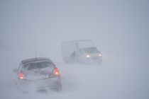 Politi udsender en bøn