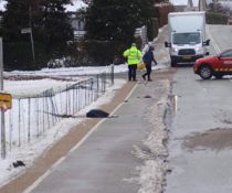 Hund død af strøm i jorden