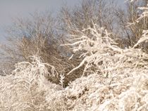 DMI melder ud om sneen