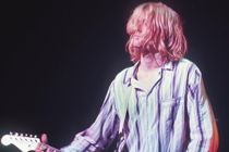 Dommer godkender penis-billede