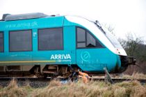Gik amok i dansk tog