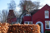 Malik skaber telefon-storm