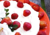 Klam kage: Mug i bunden