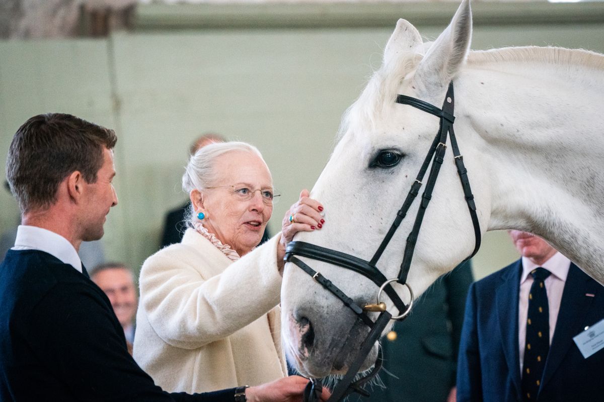 I forbindelse med dronning Margrethes 50-års regentjubilæum navngiver hun en hest på Christiansborg Ridebane, torsdag den 5. maj 2022. Dronningen navngav hesten Avanti.