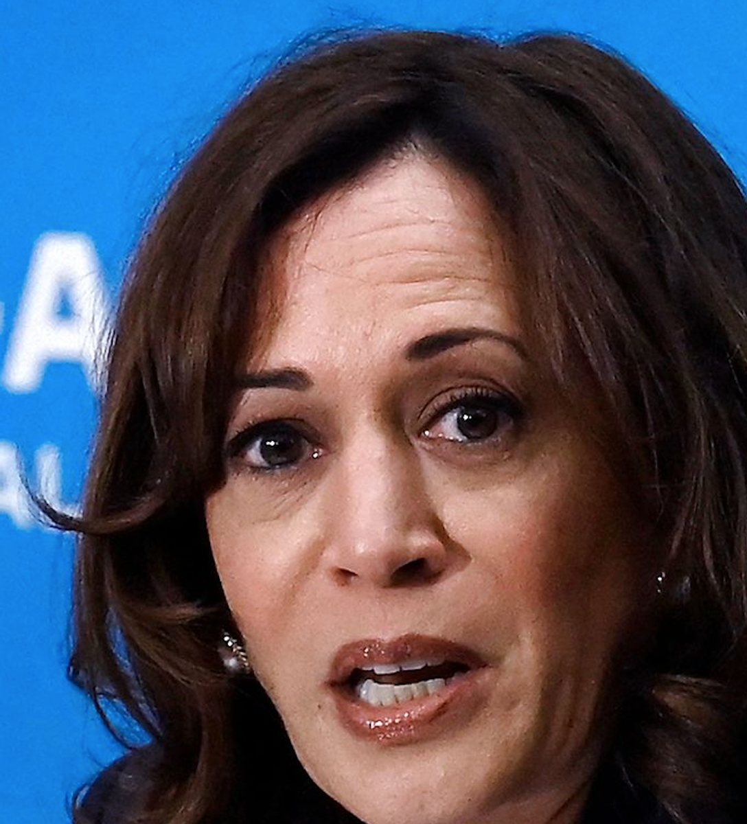 Vicepræsident Kamala Harris. Hun hører til de mindste af flokken.