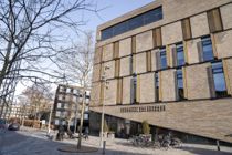 Narrede sig til sex med steddatter