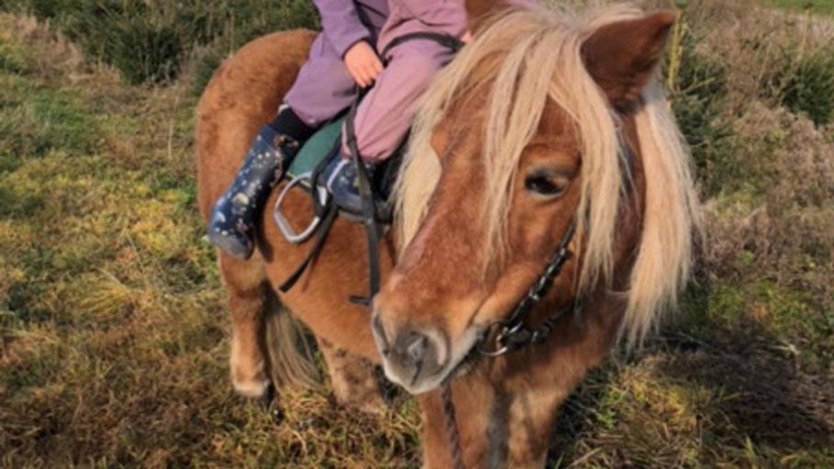 Tina Mackenhauers to døtre savner Frede.