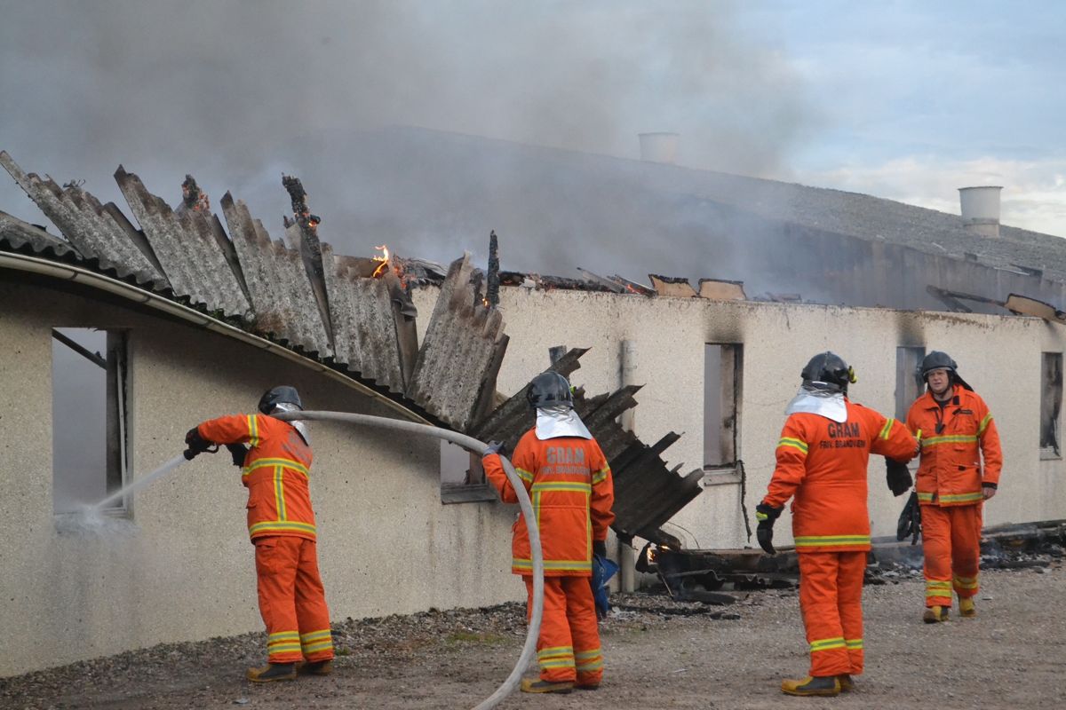 En del grise skal aflives efter gårdbrand.