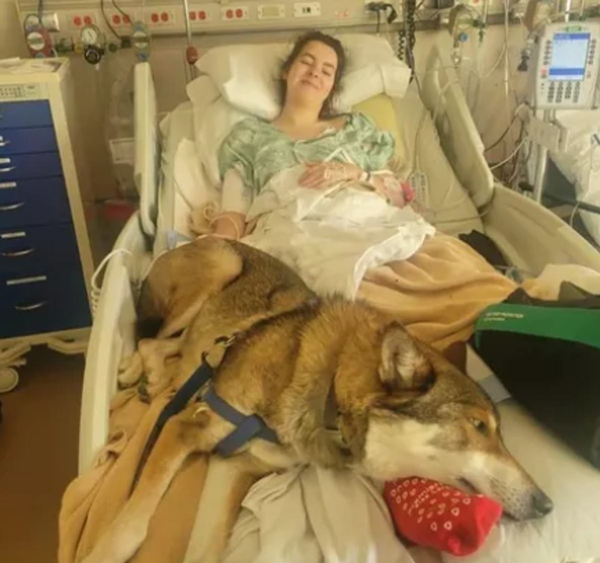 19-årige Mia Dean har ligget indlagt i syv uger, efter hun blev angrebet og smidt flere meter op i luften af en bisonokse.