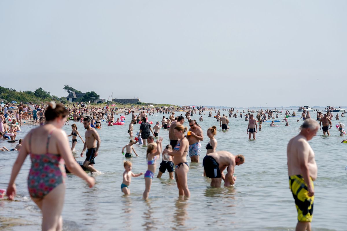 Der er målt et for højt antal E. colibakterier på Åkrogen Strand i Aarhus. Billedet her har ikke direkte relation til historien.