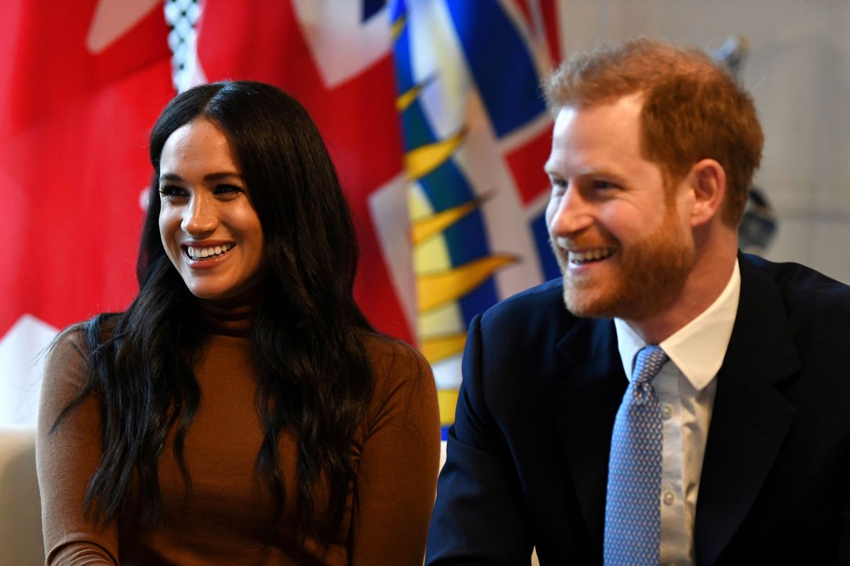 Harry og Meghan har adopteret en vandrøgtet hund.