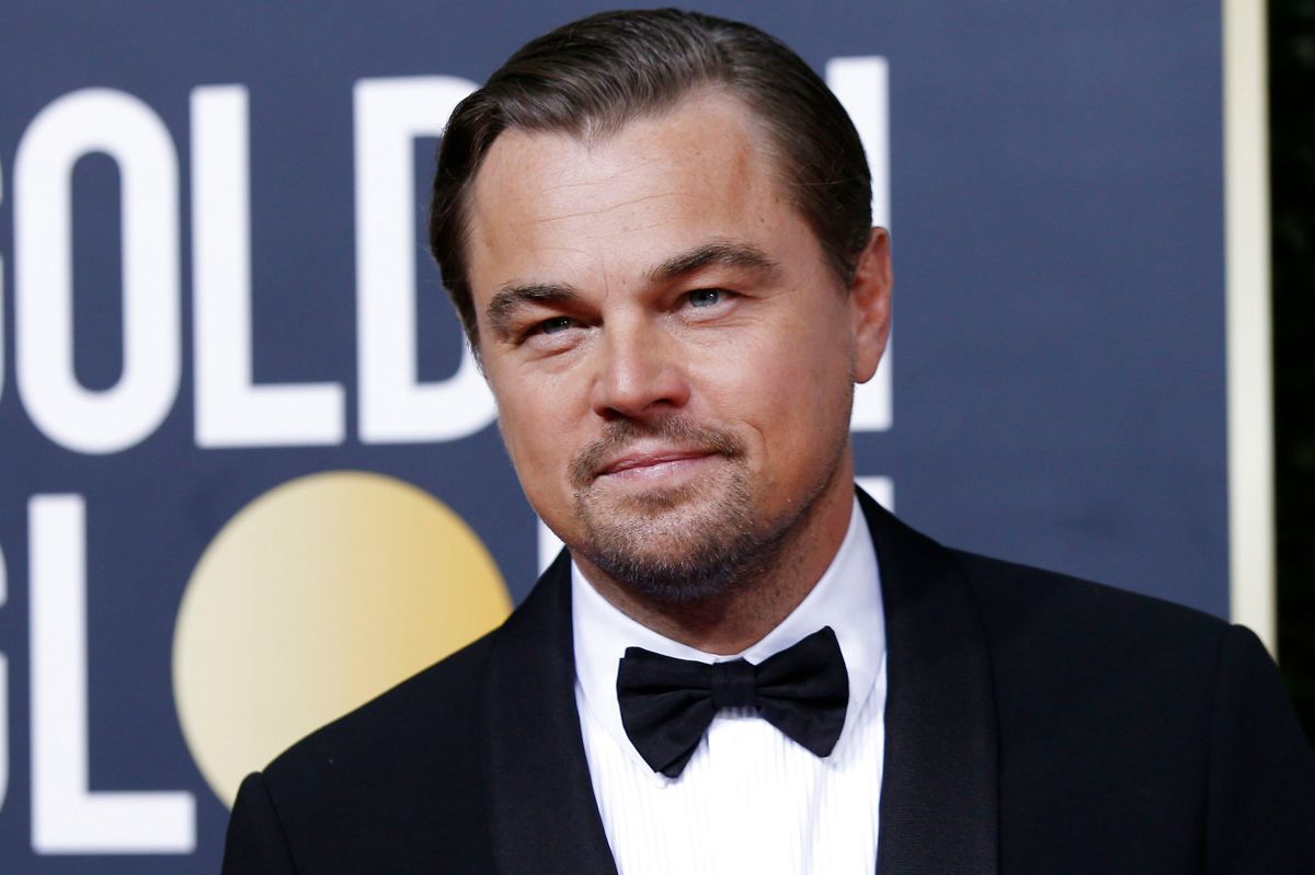 Leonardo DiCaprio er åbenbart alene igen.