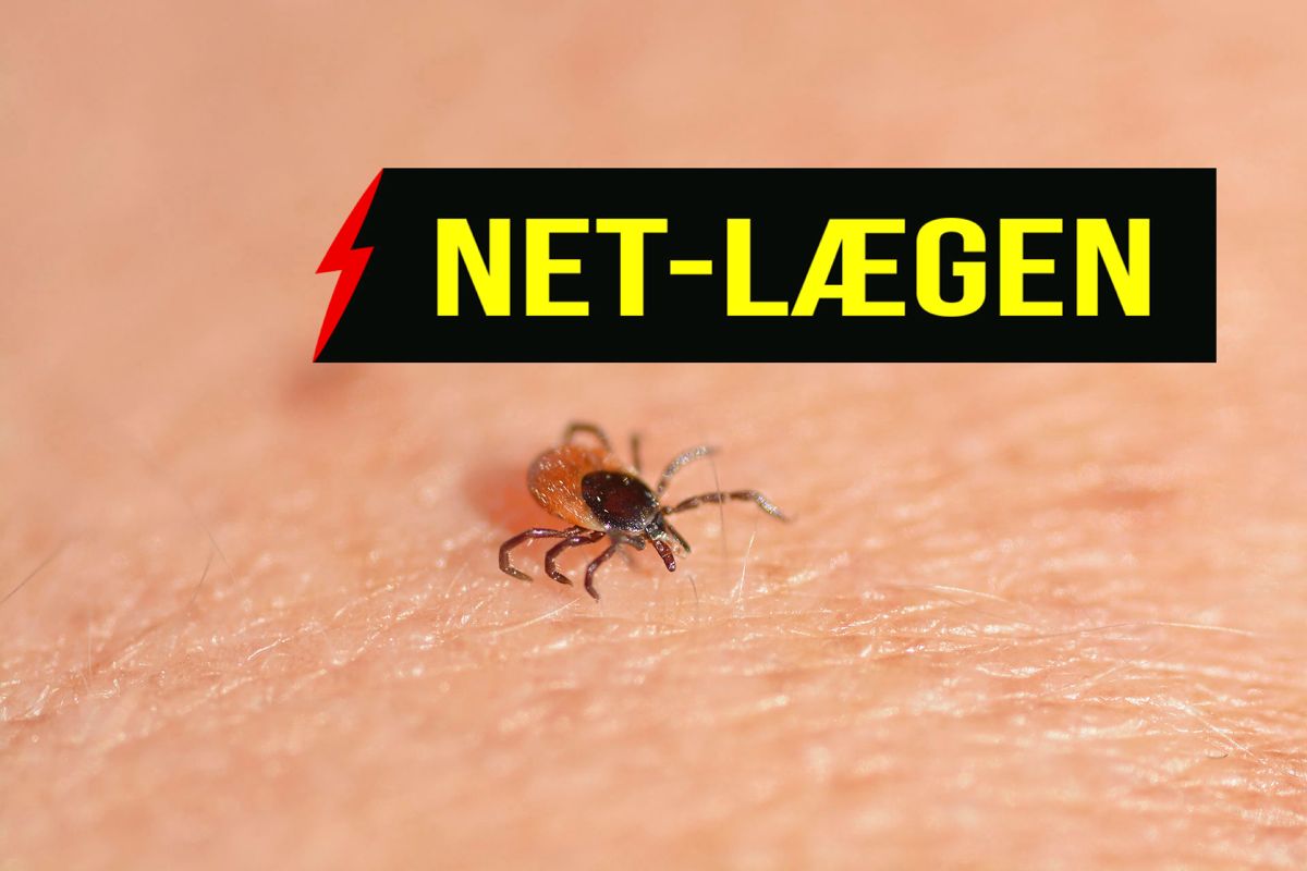 Skovflåter kan forårsage infektion med Borreliose. Borreliose er en zoonose, der skyldes infektion med bakterien Borrelia, der i Danmark overføres fra dyr til mennesker ved bid med skovflåten (Ixodes ricinus). Der findes mange forskellige Borrelia arter, hvoraf de hyppigste human patogene arter i Danmark er B. afzellii, B. garinii, og B. Burgdorferi sensu stricto.