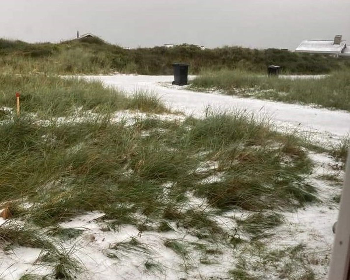 Det ligner nærmest, at der er kommet sne.