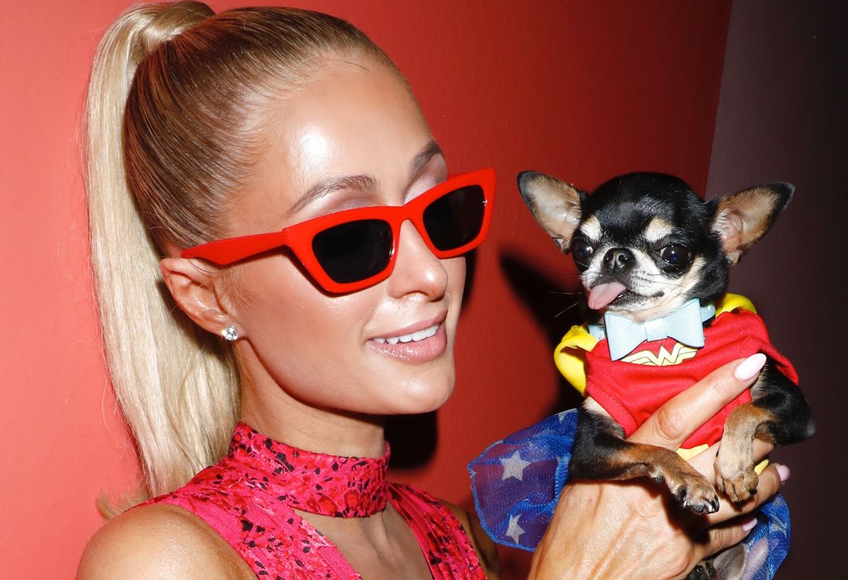 Paris Hilton ses her med sin elskede hund Diamond Bay, der er gået på opdagelse ude i den store verden.