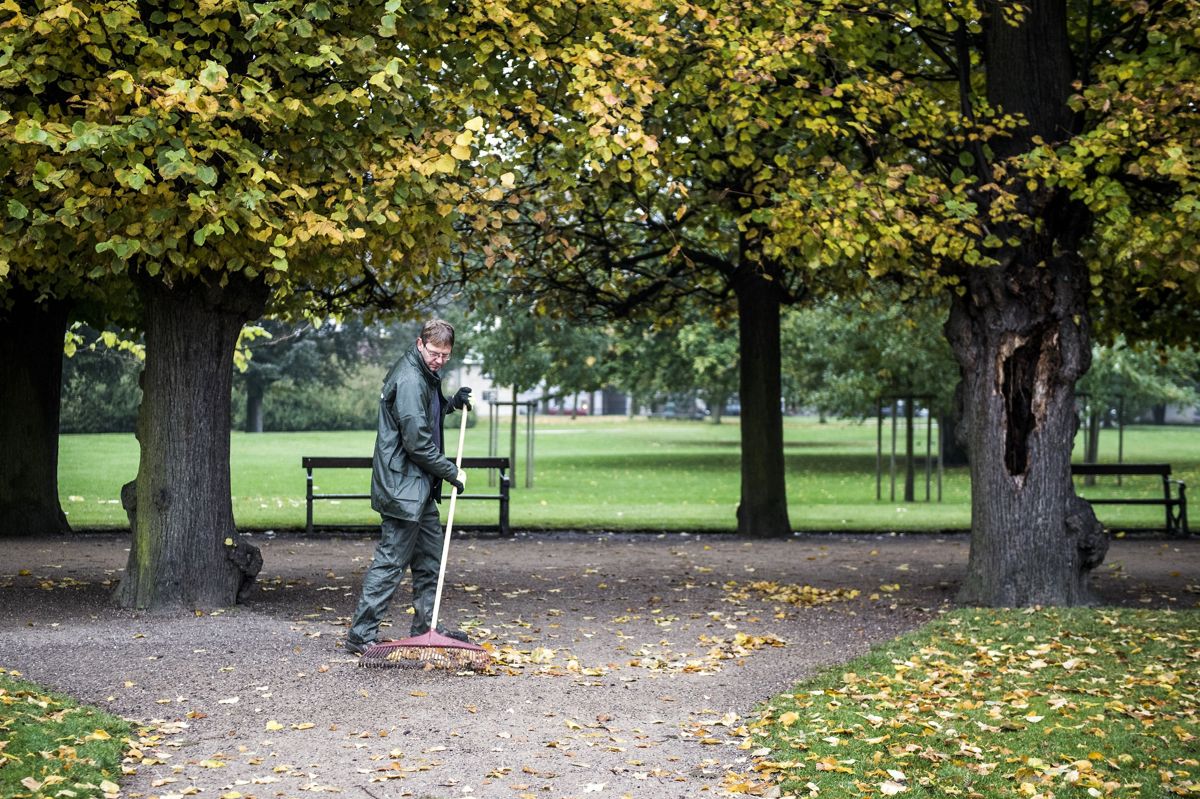 Denne uge starter mildt, men fra onsdag bliver det rigtig typisk dansk efterårsvejr, fortæller Mette Zhang, der er vagthavende meteorolog ved DMI. (Arkivfoto).