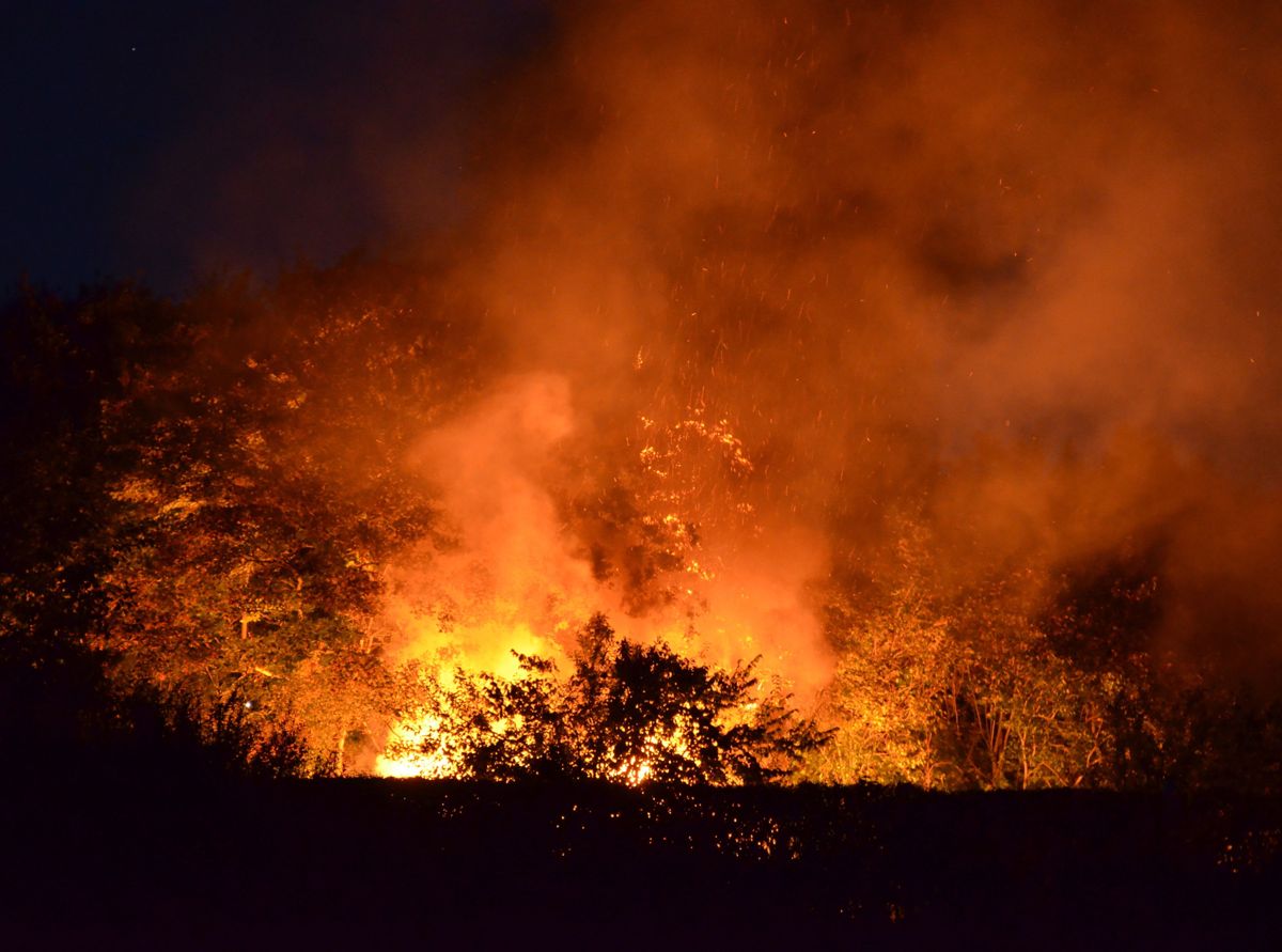En voldsom brand raserede en kolonihave.