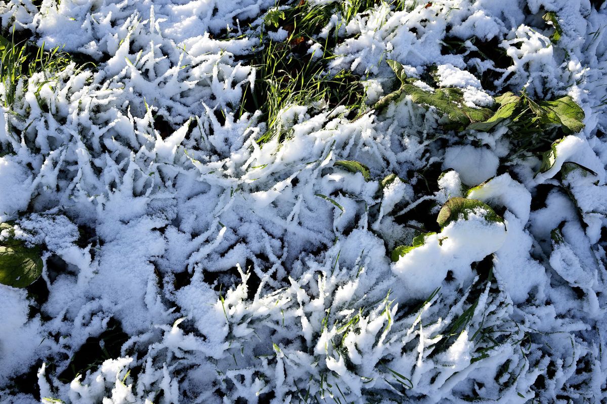 DMI S Meget Sne Er Der Faldet Newsbreak dk dmi-s-meget-sne-er-der-faldet-newsbreak-dk