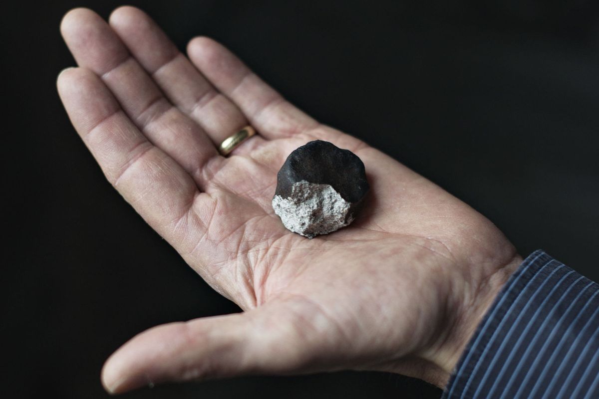 En meteorit er cirka 50 millioner år ældre end Jorden og kan derfor give information om dengang, planeterne blev dannet. Henning Haack, lektor ved ved Statens Naturhistoriske Museum og ansvarlig for statens meteroitsamling, viser her meteoritten fra Ejby mandag d. 8. februar 2016 på Naturhistorisk Museum. (Arkivfoto).