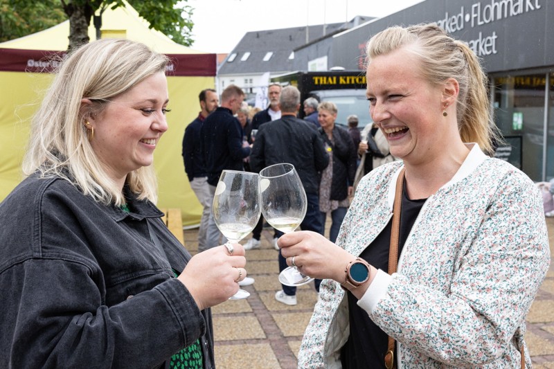 Kathrine Bloch og Karin Mølhus var for første gang med ved Nordjysk Vinfestival i Brønderslev. Veninderne glædede sig til en hyggelig aften.