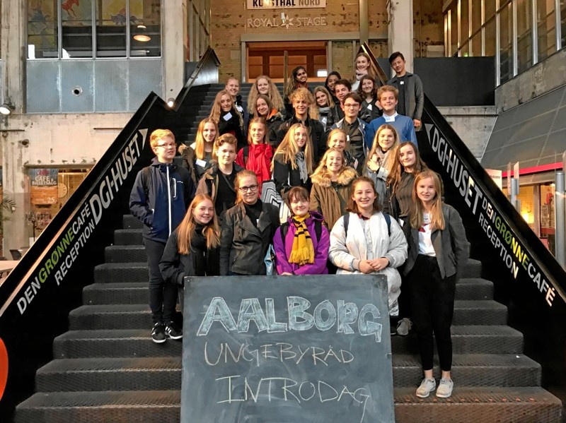 Det ny ungebyråd i Aalborg har flere medlemmer end nogensinde, og derfor har det også delt sig op i forskellige udvalg. Privatfoto