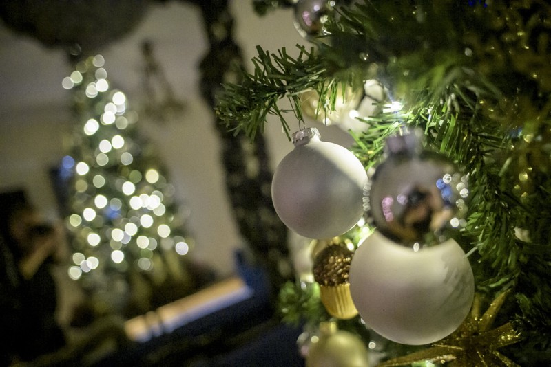 Masser af juletræer, lyskæder, julekugler og anden pynt fylder lejligheden med hygge, Foto: Martin Damgård