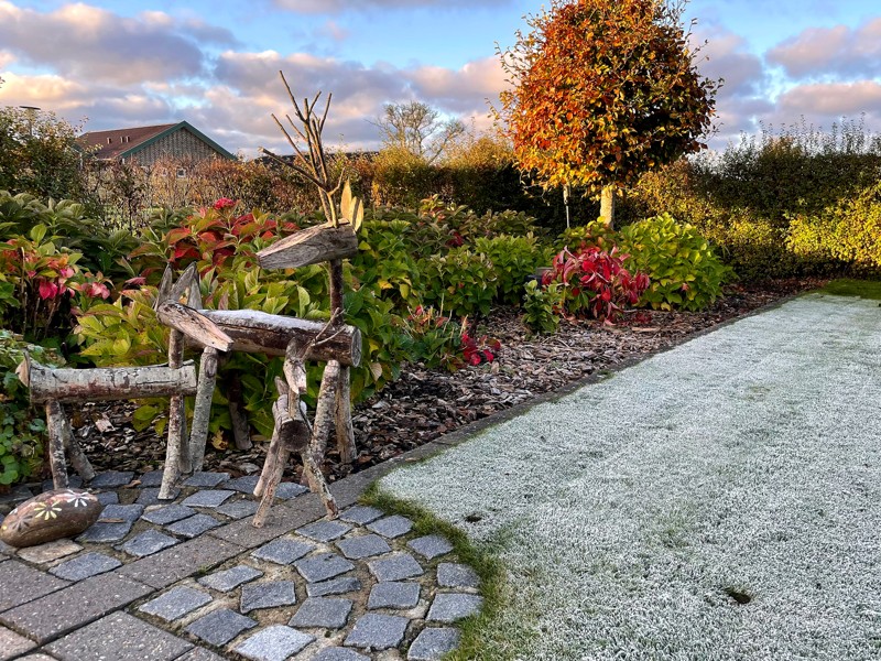 Efterårets første frost lægger et fint hvidt tæppe på plænen og varsler vinterens komme.