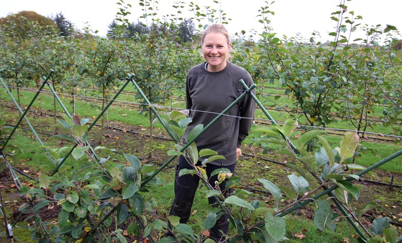 Selv om det kun er halvandet år siden, Anne etablerede sin planteskole, er der god vækst i planterne.