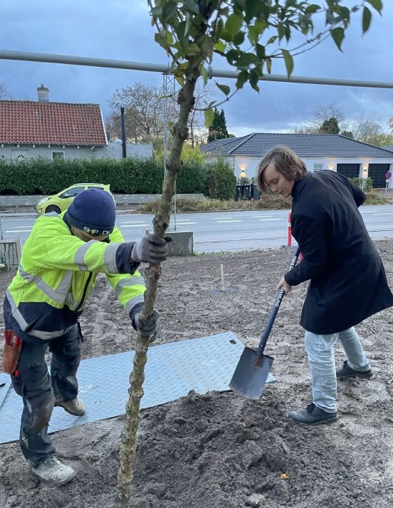Udvalgsformand Marcus Guldager (S) havde fat i spaden, da de første træer i PH Park blev plantet onsdag den 8 .november 2023. Foto: Presse