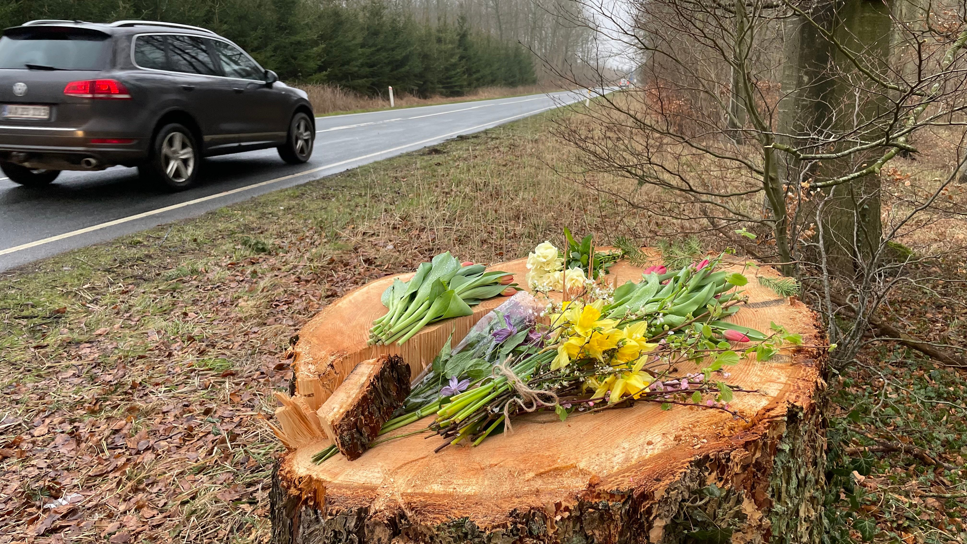 Flere lagde blomster på træstubben på Parnasvej ved Sorø efter tragisk dødsfald i marts.