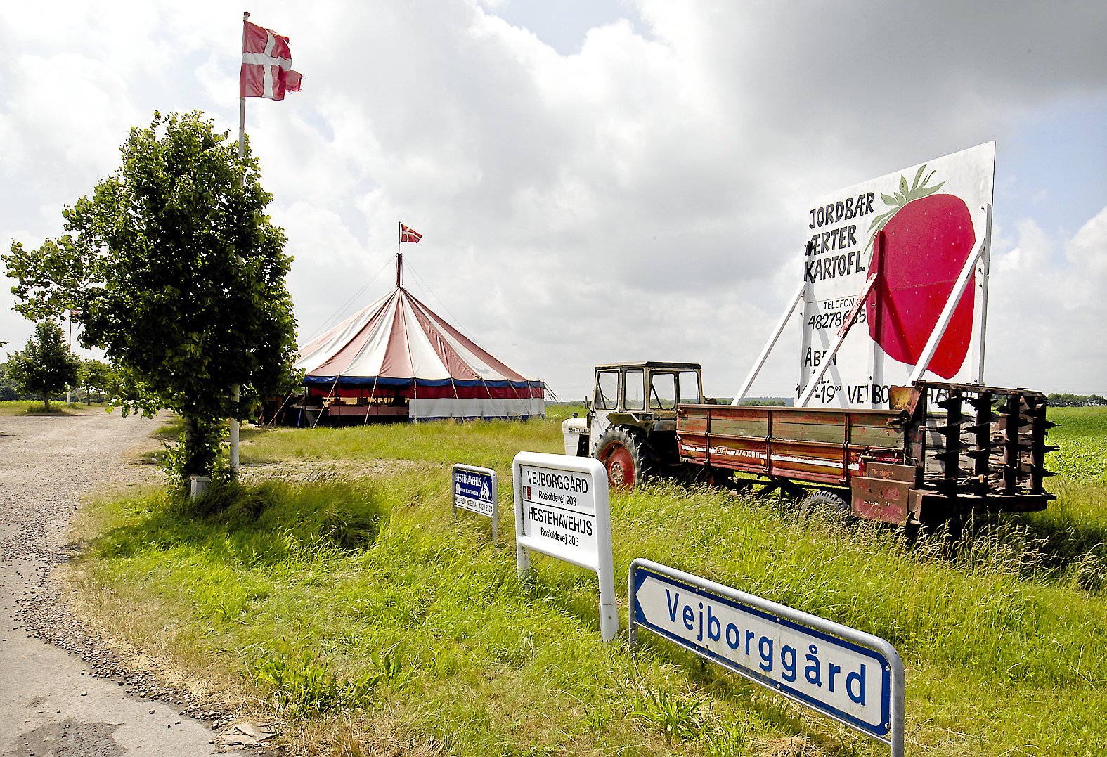 Foto: Kim Rasmussen